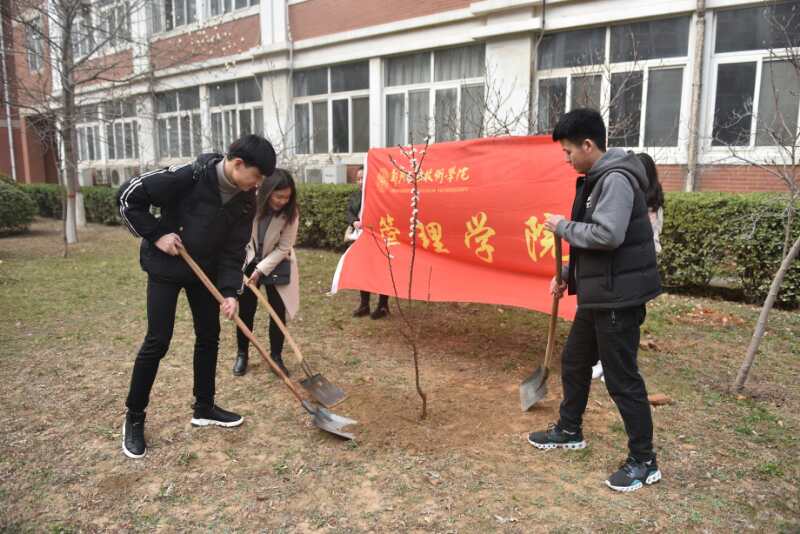 植树活动现场